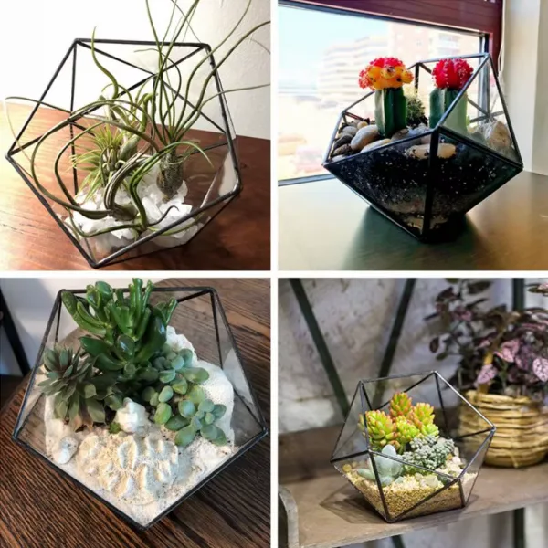 Geometric Glass Terrarium – Modern Elegance for Your Green Haven - Image 7