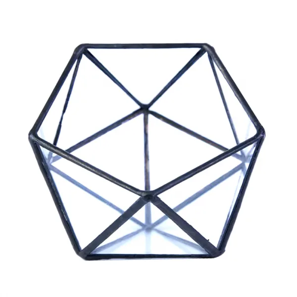 Geometric Glass Terrarium – Modern Elegance for Your Green Haven - Image 8