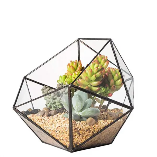 Geometric Glass Terrarium – Modern Elegance for Your Green Haven